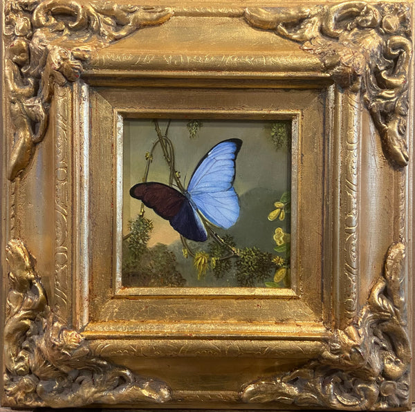 Painting Blue Morpho Butterfly