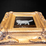 Gilded Gold Framed Oil Painting White Persian Cat Antique Style