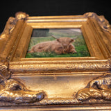 Gilt Framed Oil Painting Highland Cow Antique Style Hand Painted