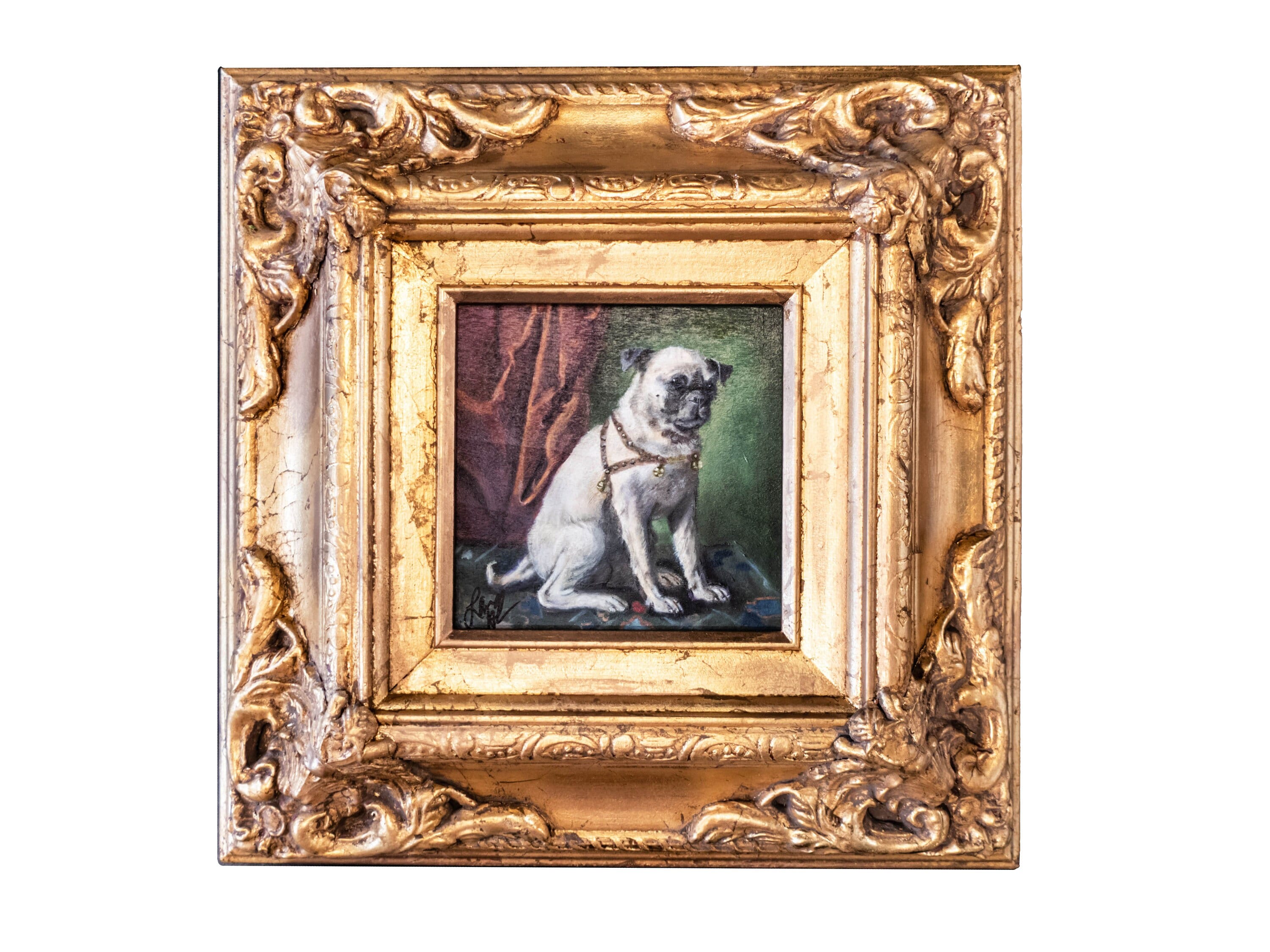 Portrait Of A Chihuahua-papillon Mix - Framed Print by